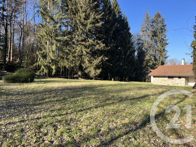 terrain à vendre - 902.0 m2 - ALLINGES - 74 - RHONE-ALPES - Century 21 Chablais - Léman