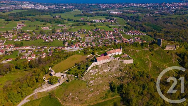 terrain à vendre - 902.0 m2 - ALLINGES - 74 - RHONE-ALPES - Century 21 Chablais - Léman