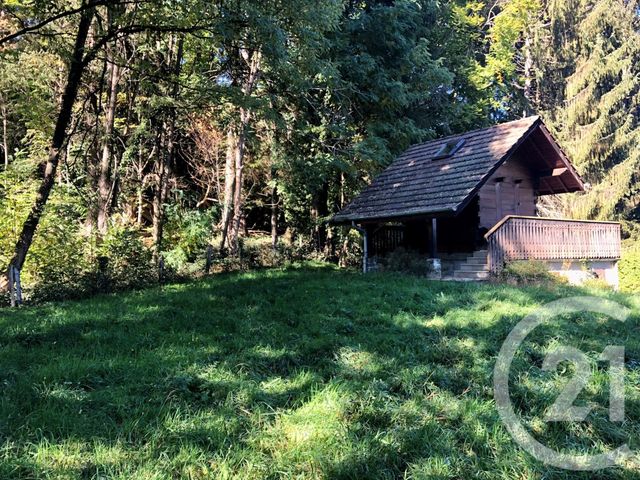 terrain à vendre - 1334.0 m2 - ALLINGES - 74 - RHONE-ALPES - Century 21 Chablais - Léman