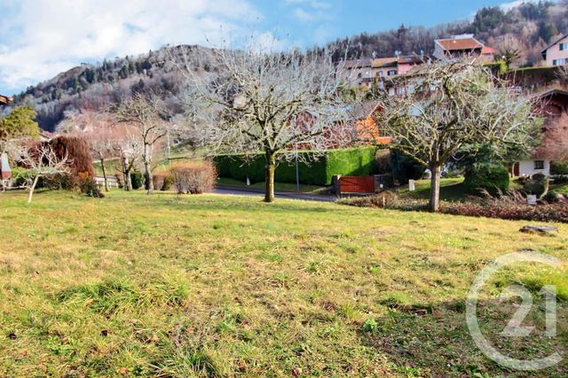 terrain à vendre - 409.0 m2 - ALLINGES - 74 - RHONE-ALPES - Century 21 Chablais - Léman
