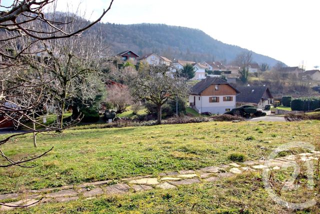 terrain à vendre - 409.0 m2 - ALLINGES - 74 - RHONE-ALPES - Century 21 Chablais - Léman