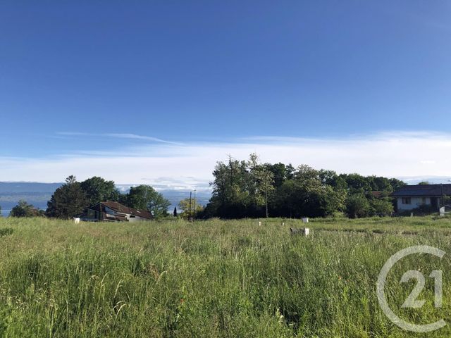 terrain - ANTHY SUR LEMAN - 74