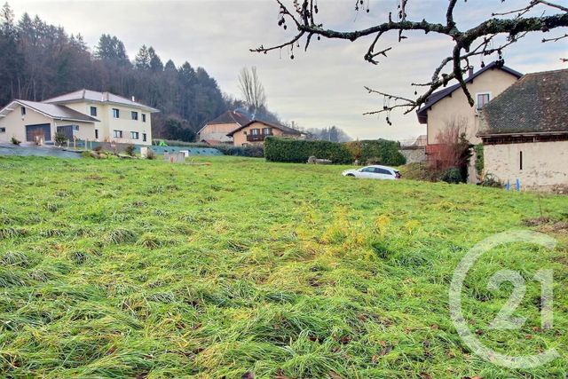 terrain à vendre - 971.0 m2 - PUBLIER - 74 - RHONE-ALPES - Century 21 Chablais - Léman