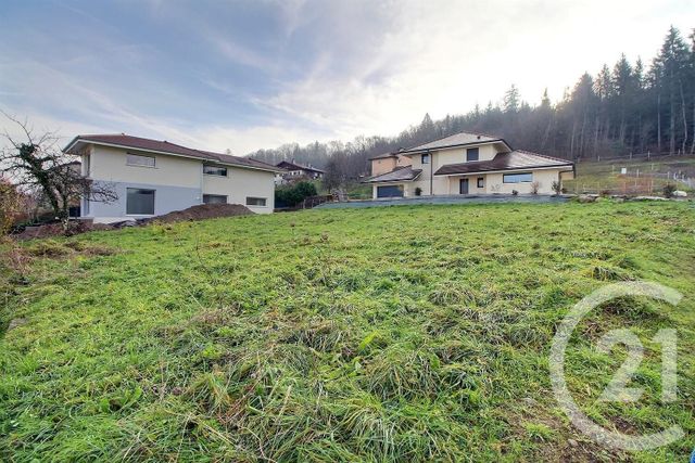 terrain à vendre - 971.0 m2 - PUBLIER - 74 - RHONE-ALPES - Century 21 Chablais - Léman